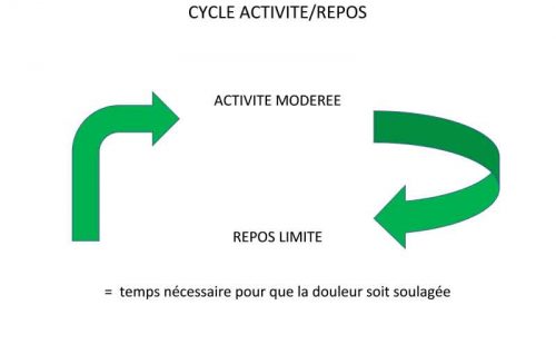 Cycle Activite Repos