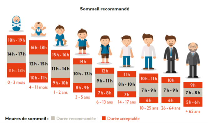 Sommeil Apprentissage